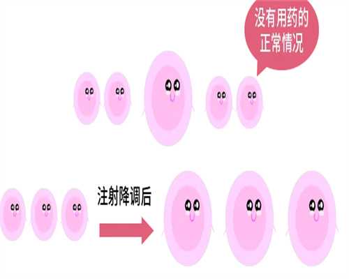 广东省内助孕机构的选择与试管婴儿技术解析