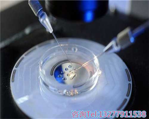 试管婴儿可以做几次