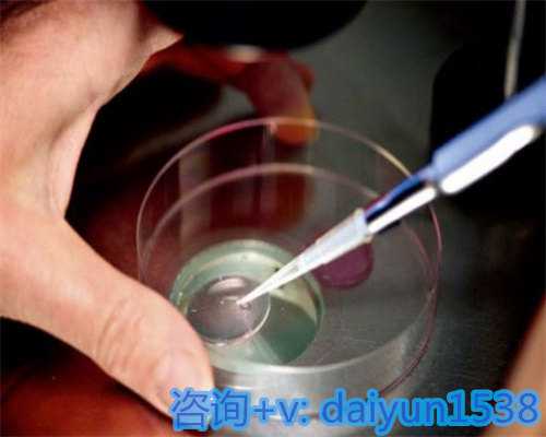 深圳赴泰国试管婴儿中介费用解析