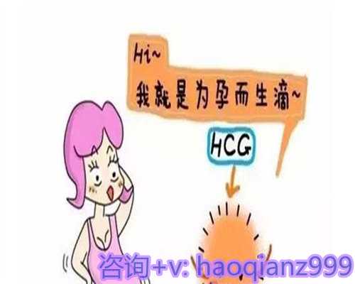 北医三院的囊胚培养成功率怎么样？