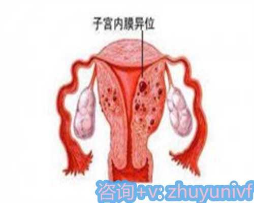 2026年深圳妇幼三代试管助孕周期费用揭秘：上半年数据参考